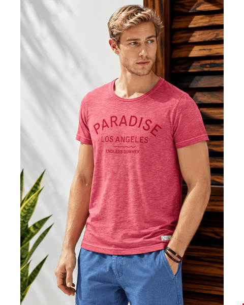 تیشرت مردانه مدل Paradise برند LIVERGY 