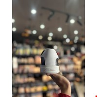 کتونی زنانه برند اصل calvin klein