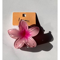 کلیپس ( طیف رنگی صورتی )