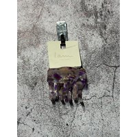 کلیپس(طیف رنگی یاسی بنفش)