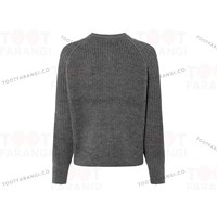 کاردیگن اسپرت