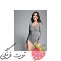 بادی کبریتی خاکستری