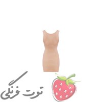 گن تاپی  شیپر